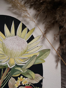 Prothea Print