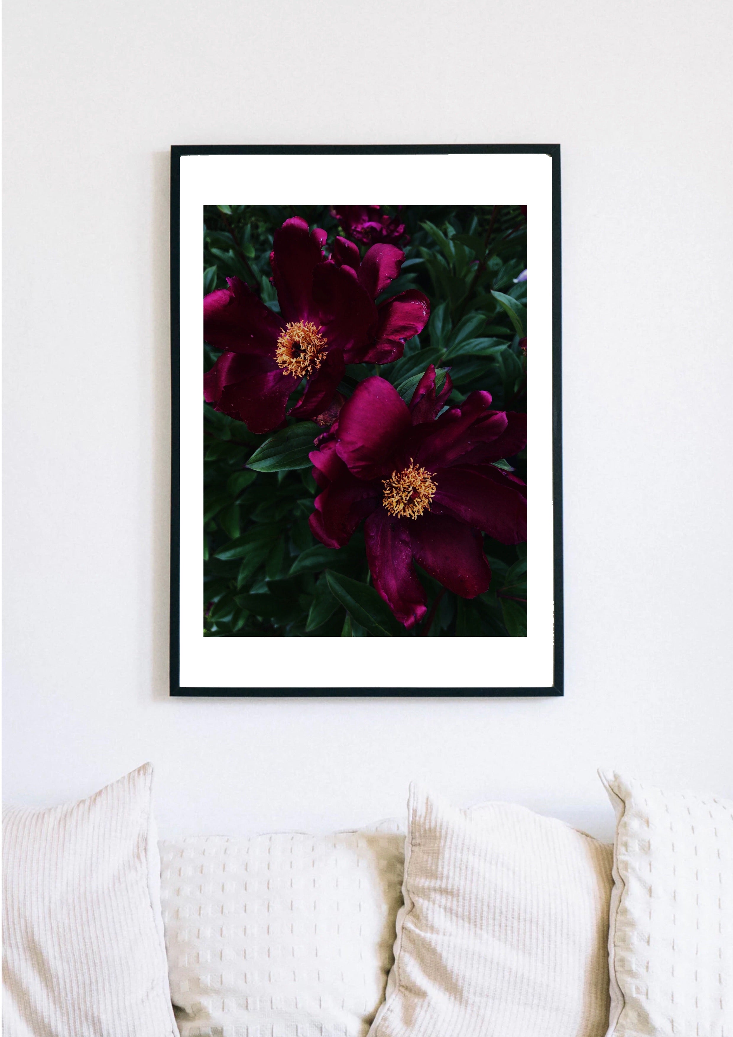 Photography Print 8