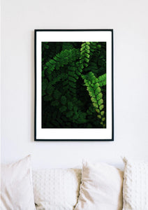 Photography Print 3