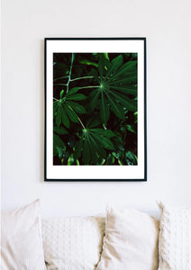 Photography Print 24