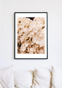 Photography Print 4