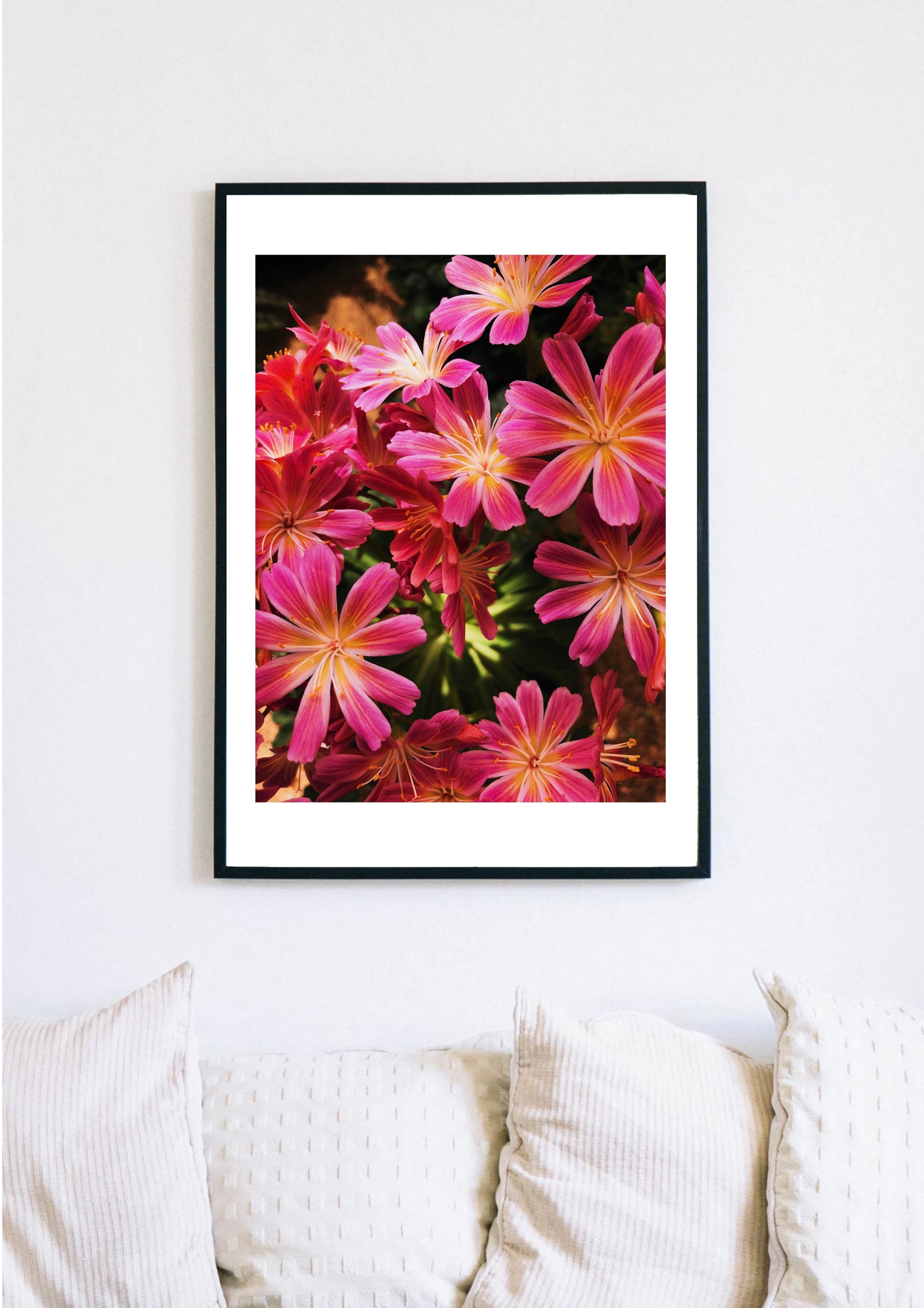 Photography Print 11